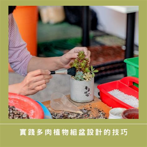 種多肉|2024年多肉植物完全指南：從挑選技巧到養護秘訣，一次掌握！